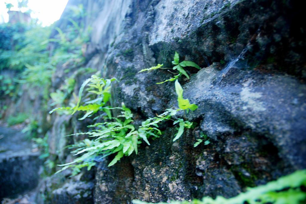 The Mountain Hotel Hangzhou Exterior foto